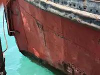 टोबोट बिक्री के लिए