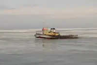टोबोट बेचने के लिए