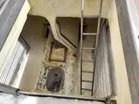 लॉन्गलाइनर बिक्री के लिए