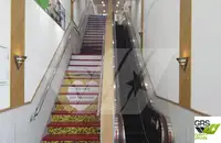 Ro-Ro ship बेचने के लिए