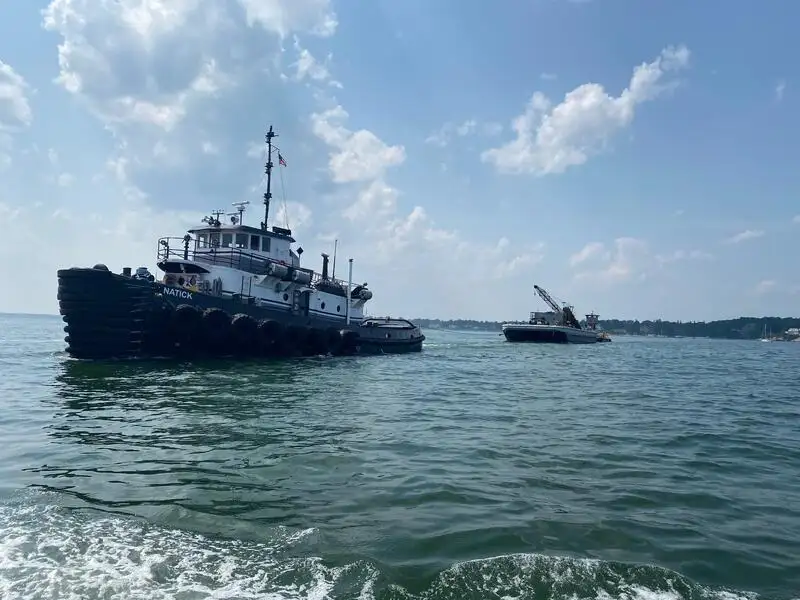 टोबोट बिक्री के लिए