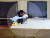 ट्रॉलर बिक्री के लिए