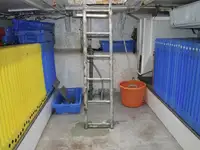 ट्रॉलर बिक्री के लिए
