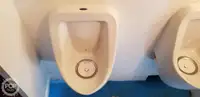 कैटामारन बिक्री के लिए