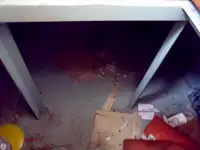 टोबोट बिक्री के लिए