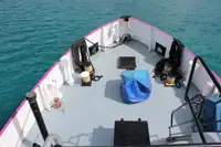 General Cargo/Multi-purpose बिक्री के लिए