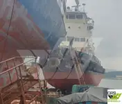 टोबोट बिक्री के लिए