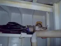 टोबोट बिक्री के लिए