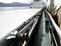थोक वाहक बेचने के लिए