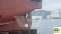 टोबोट बिक्री के लिए