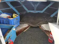 ट्रॉलर बिक्री के लिए