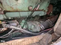 क्रूज फेरी बिक्री के लिए