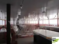 क्रूज जहाज बिक्री के लिए