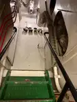 टोबोट बिक्री के लिए