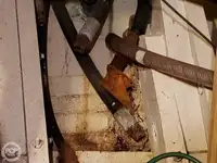 फेरी पोत बिक्री के लिए