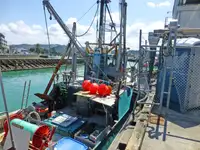 Trawler बेचने के लिए