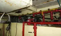 पायलट बोट बिक्री के लिए