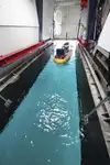 टोबोट बिक्री के लिए