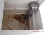 पर्से सीनर बिक्री के लिए