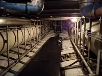 टोबोट बिक्री के लिए