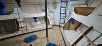 टोबोट बिक्री के लिए