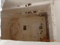 पर्से सीनर बिक्री के लिए