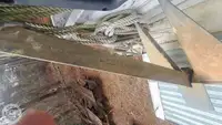 क्रूज जहाज बिक्री के लिए