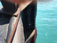टोबोट बिक्री के लिए