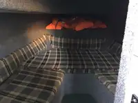 पायलट बोट बिक्री के लिए
