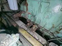 क्रूज फेरी बिक्री के लिए