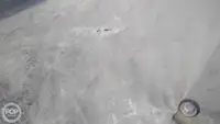कंटेनर जहाज बिक्री के लिए