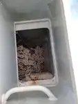 फेरी पोत बिक्री के लिए