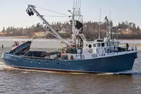 Purse seiner बेचने के लिए