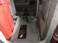 क्रूज जहाज बिक्री के लिए