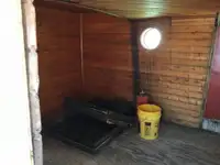 टोबोट बिक्री के लिए