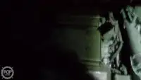 ट्रॉलर बिक्री के लिए
