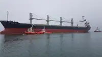 टोबोट बिक्री के लिए
