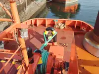 टोबोट बिक्री के लिए