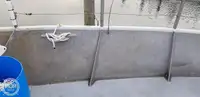 ट्रॉलर बिक्री के लिए