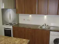 ड्रेजर बिक्री के लिए