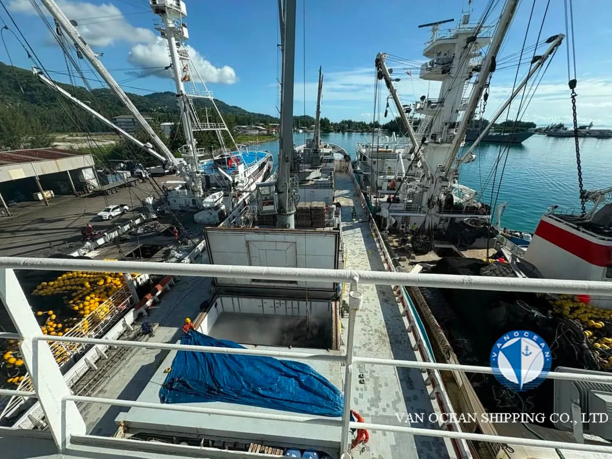 रेफ़र जहाज बिक्री के लिए