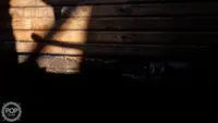 ट्रॉलर बिक्री के लिए