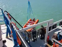 टोबोट बिक्री के लिए
