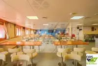 डाइव सपोर्ट बिक्री के लिए