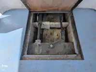 क्रूज फेरी बिक्री के लिए