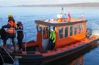 कठोर inflatable नाव बेचने के लिए