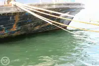 फेरी पोत बिक्री के लिए