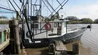 Trawler बेचने के लिए