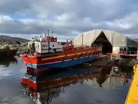 Ro-Ro ship बेचने के लिए