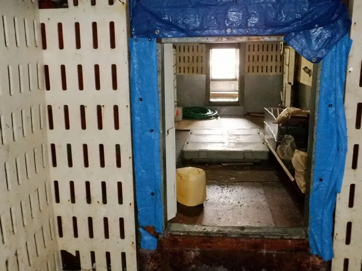 लॉन्गलाइनर बिक्री के लिए
